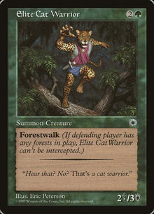 163-elitecatwarrior