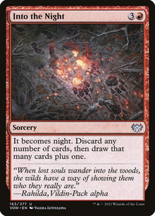 163-intothenight