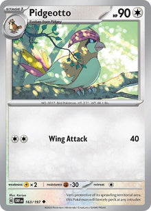 163-pidgeotto