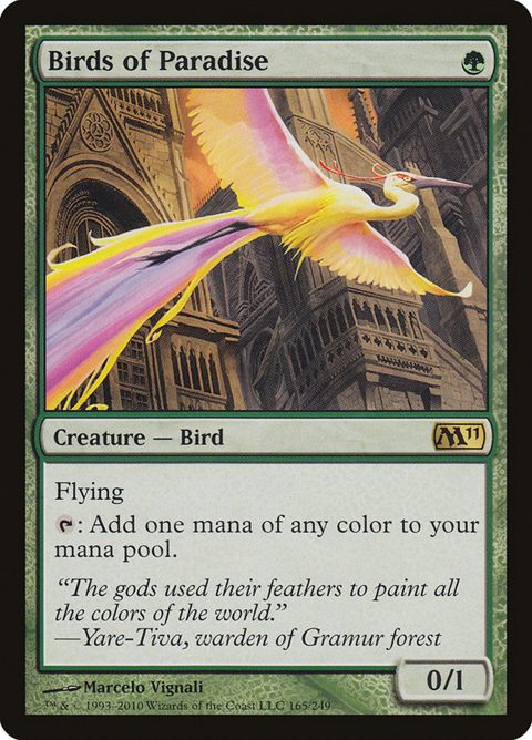 165-birdsofparadise