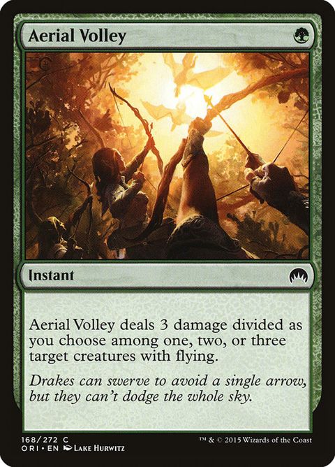 168-aerialvolley