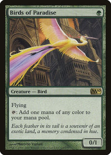 168-birdsofparadise
