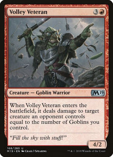 168-volleyveteran
