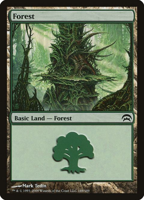 169-forest