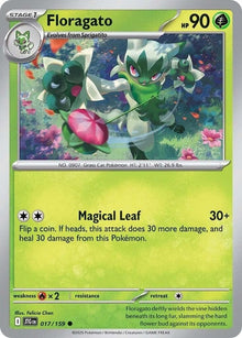 17-floragato