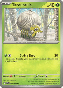 17-tarountula