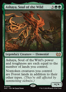 170-ashayasoulofthewild