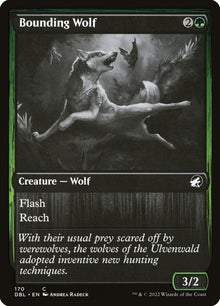 170-boundingwolf