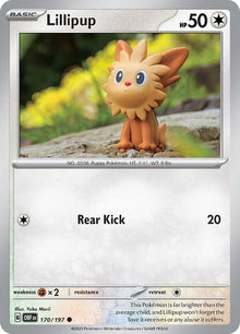 170-lillipup