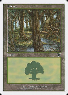 171-forest