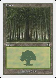 172-forest