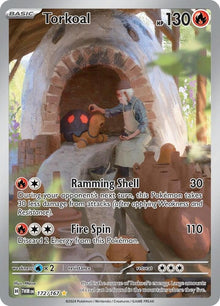 172-torkoal