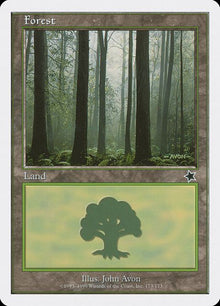 173-forest