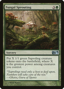 173-fungalsprouting