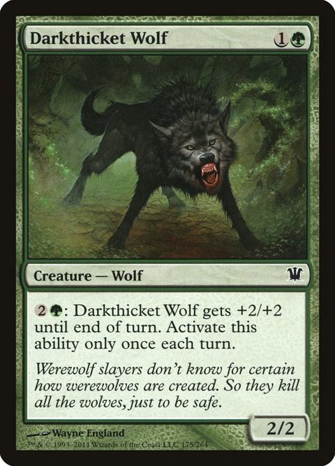 175-darkthicketwolf