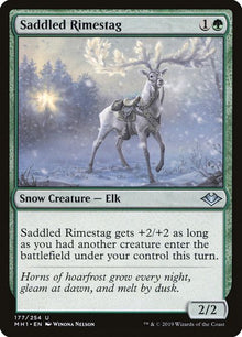 177-saddledrimestag