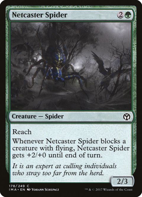 178-netcasterspider