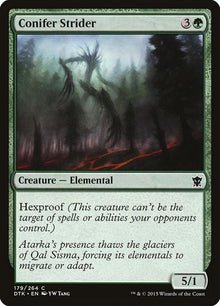179-coniferstrider
