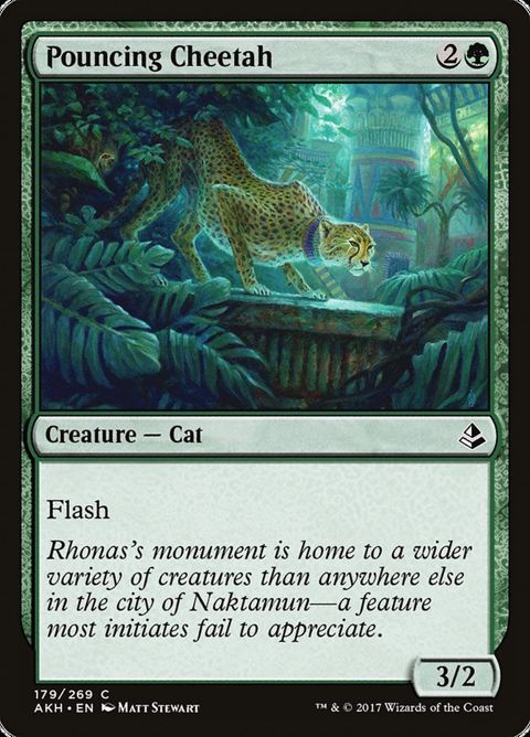179-pouncingcheetah