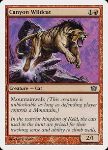 181-canyonwildcat