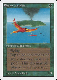 187-birdsofparadise