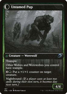 187-houndtameruntamedpup-b