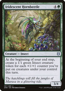 187-iridescenthornbeetle