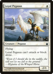 19-loyalpegasus