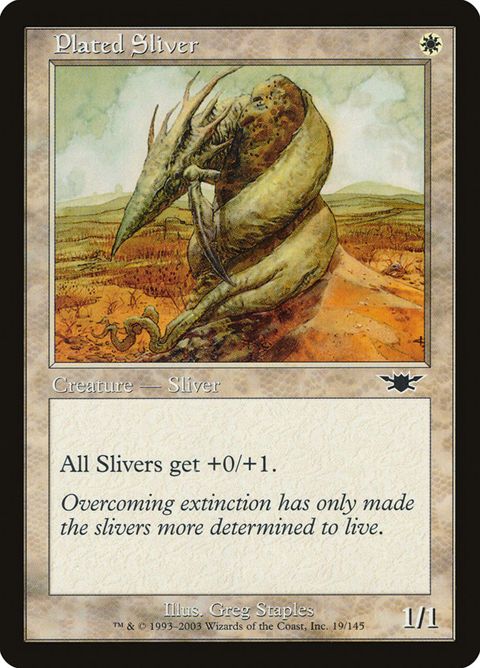19-platedsliver