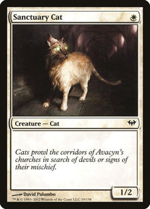 19-sanctuarycat