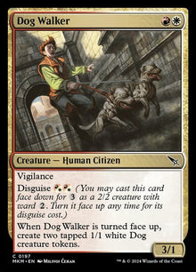 197-dogwalker