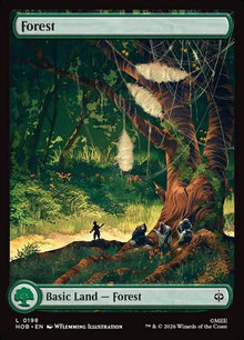 198-forest