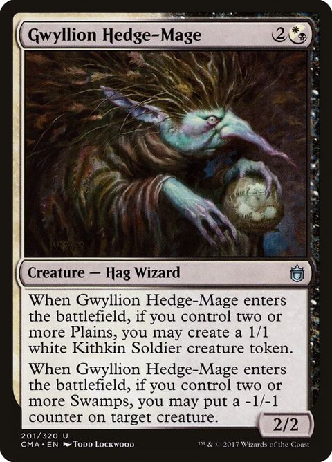201-gwyllionhedgemage