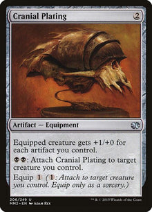 206-cranialplating