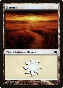 206-plains