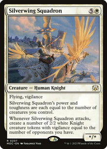 207-silverwingsquadron