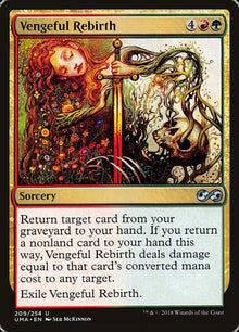 209-vengefulrebirth