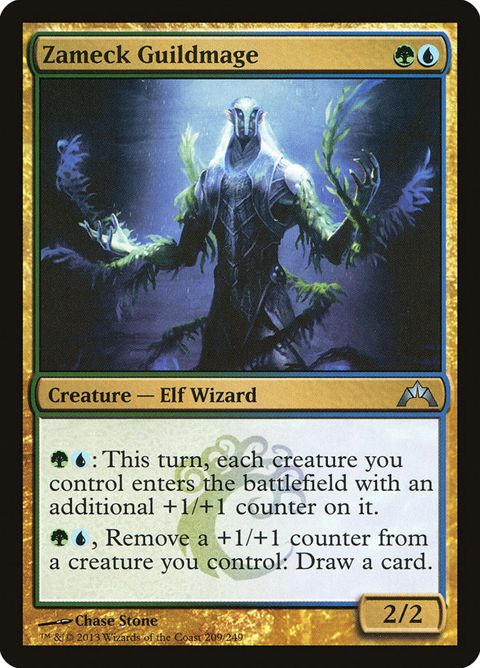 209-zameckguildmage