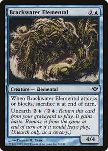 21-brackwaterelemental