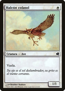 21-suntailhawk