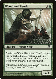 210-woodlandsleuth