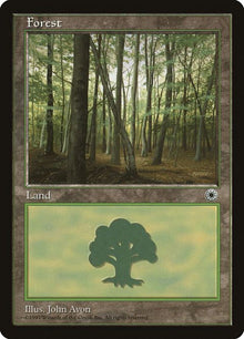 213-forest