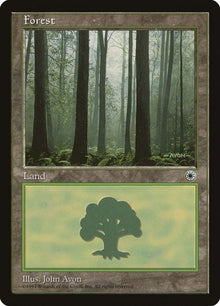 214-forest