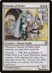 22-paladinofprahv
