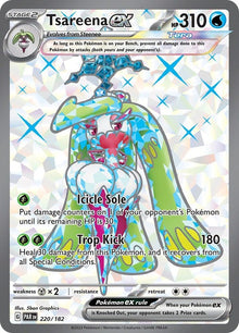 220-tsareenaex