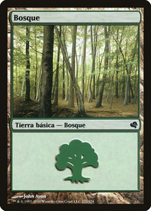 222-forest