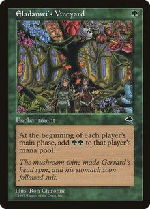 223-eladamrisvineyard