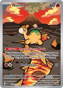 223-numel