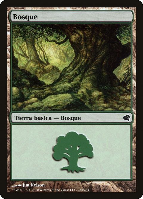 224-forest