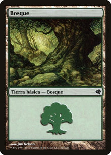224-forest